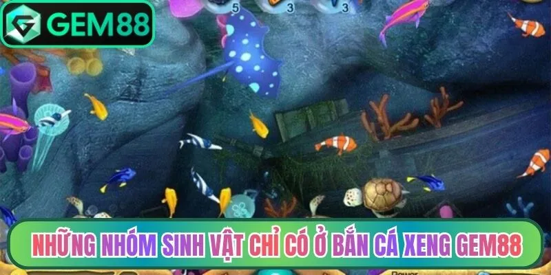 Những nhóm sinh vật chỉ có ở bắn cá Xeng Gem88