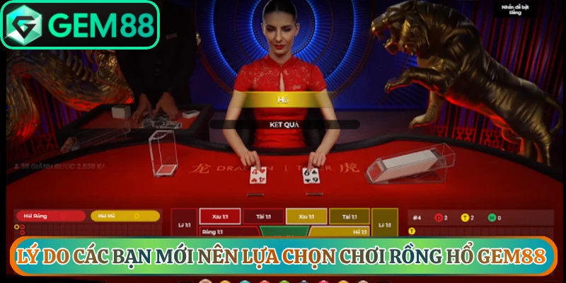 Lý do các bạn mới nên lựa chọn chơi rồng hổ Gem88