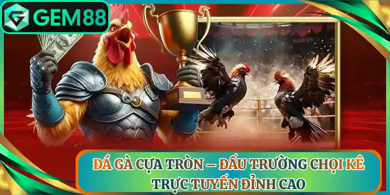 Đá Gà Cựa Tròn – Đấu Trường Chọi Kê Trực Tuyến Đỉnh Cao