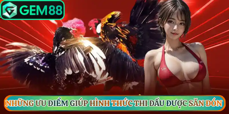 Ưu điểm giúp trận đấu được nhiều người yêu thích