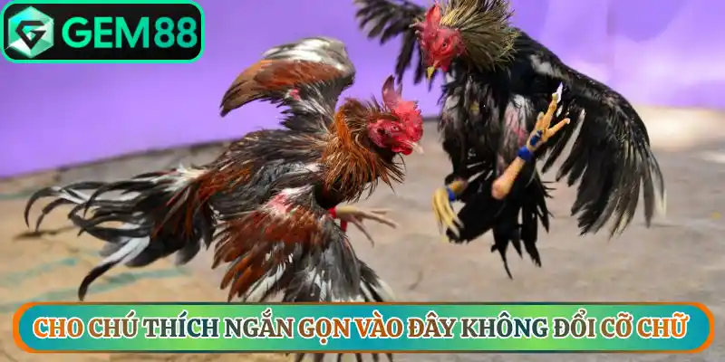 Cho chu thich ngan gon vao day khong doi co chu