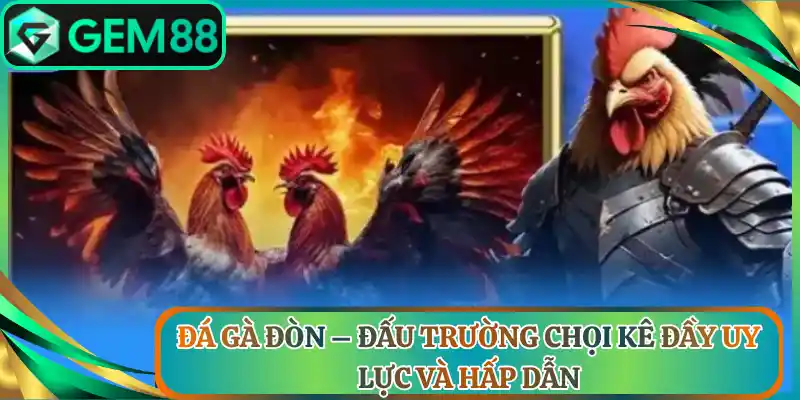 Đá Gà Đòn – Đấu Trường Chọi Kê Đầy Uy Lực Và Hấp Dẫn