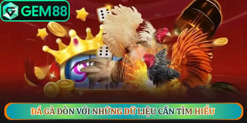 Đá gà đòn với những dữ liệu cần tìm hiểu