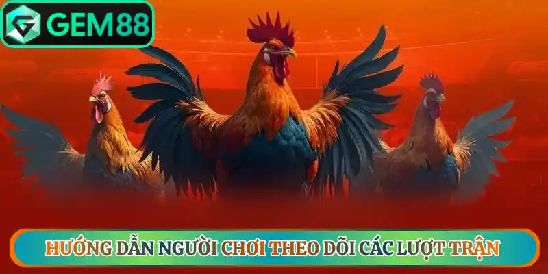 Hướng dẫn người chơi theo dõi các lượt trận