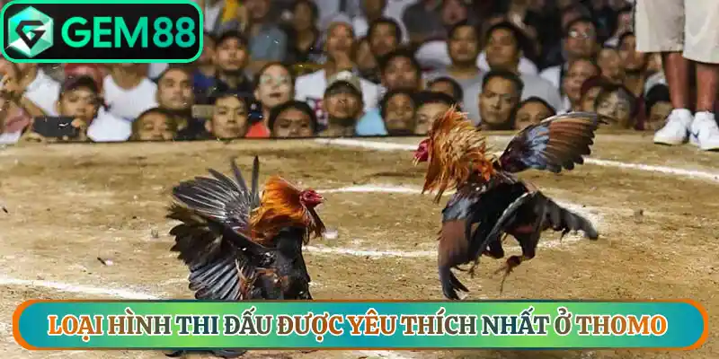 Loại hình thi đấu được yêu thích nhất ở Thomo