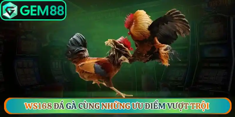 Ws168 đá gà cùng những ưu điểm vượt trội