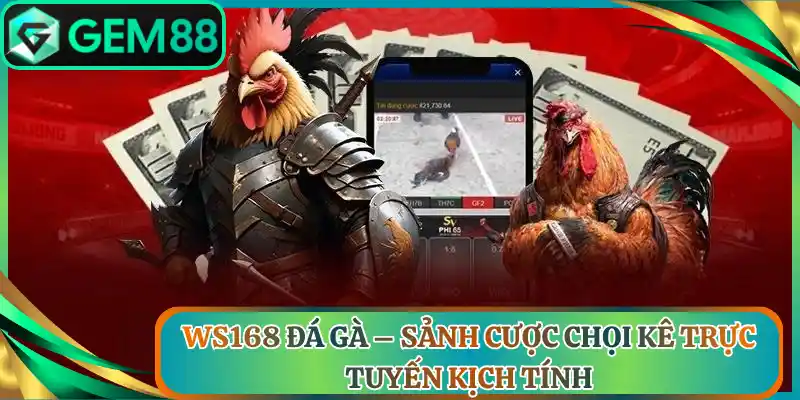 Ws168 Đá Gà – Sảnh Cược Chọi Kê Trực Tuyến Kịch Tính